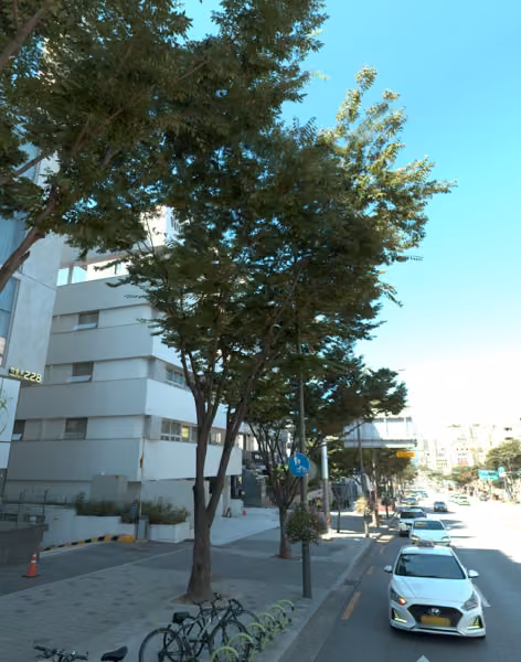 tree photo