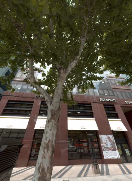 tree photo
