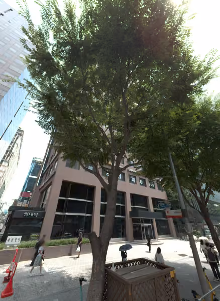 tree photo