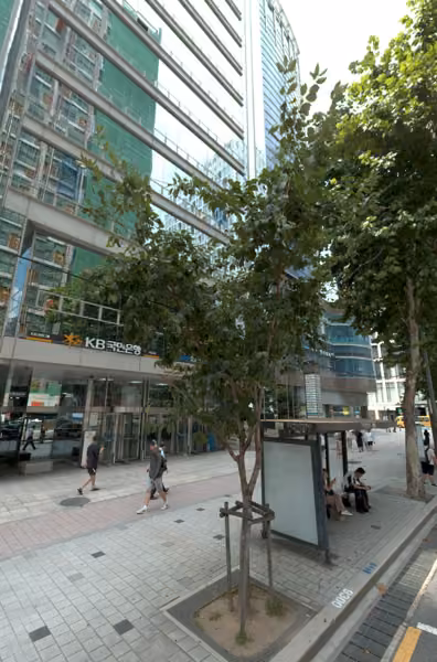 tree photo
