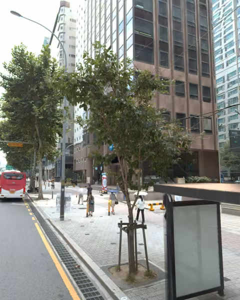 tree photo