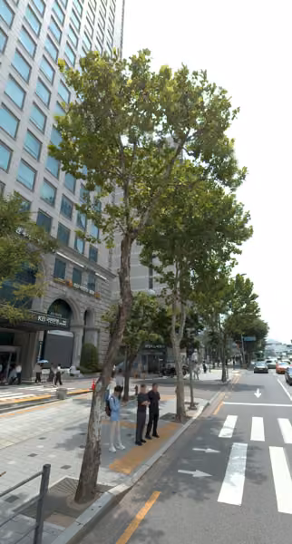 tree photo