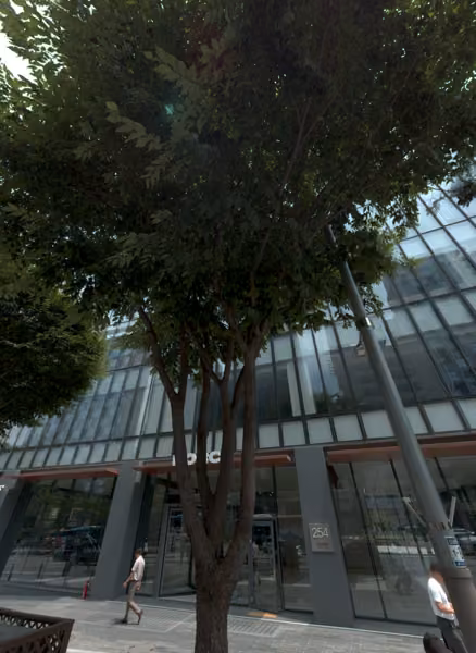 tree photo