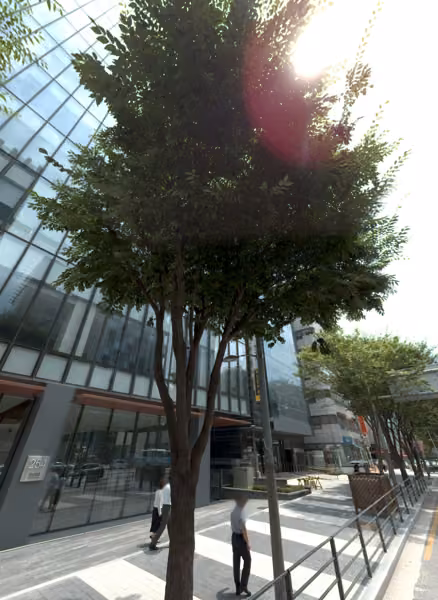 tree photo