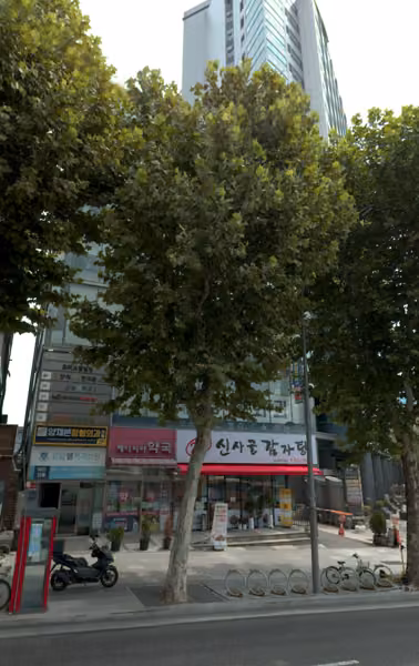 tree photo