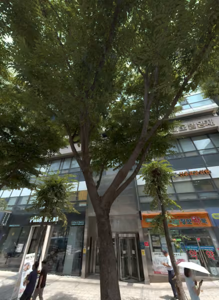 tree photo