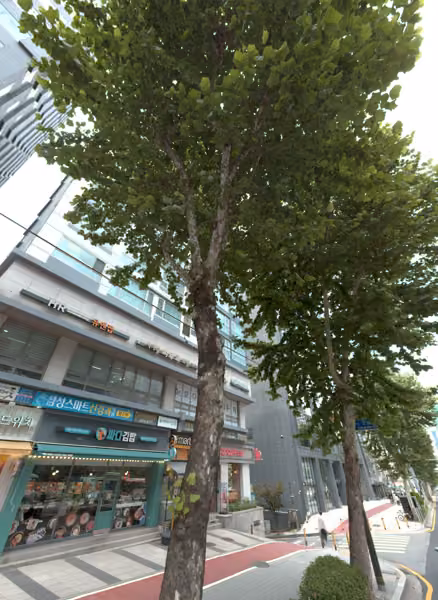 tree photo