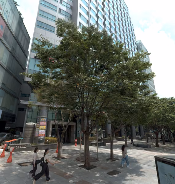 tree photo