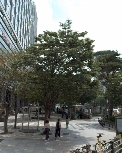 tree photo