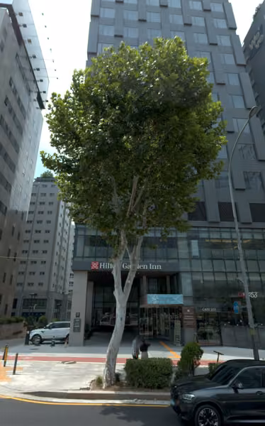 tree photo