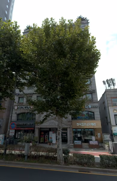 tree photo