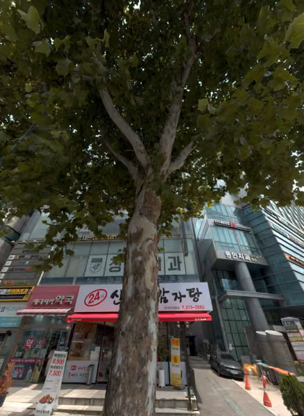 tree photo