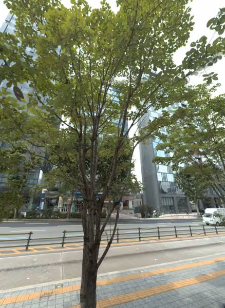 tree photo