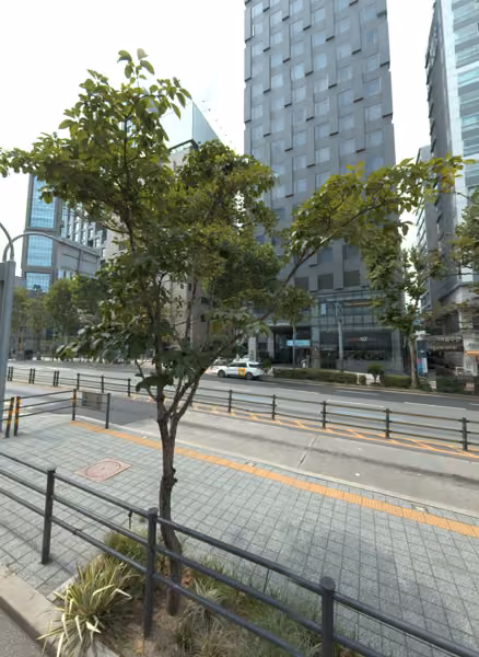 tree photo
