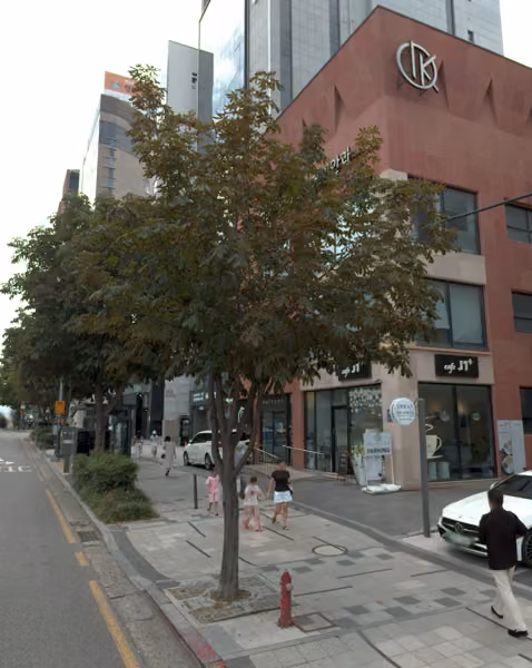 tree photo