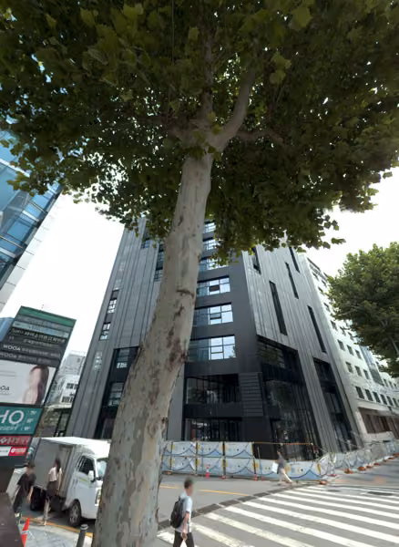 tree photo