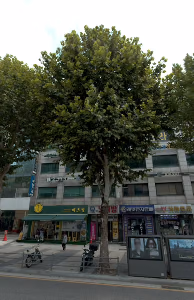 tree photo