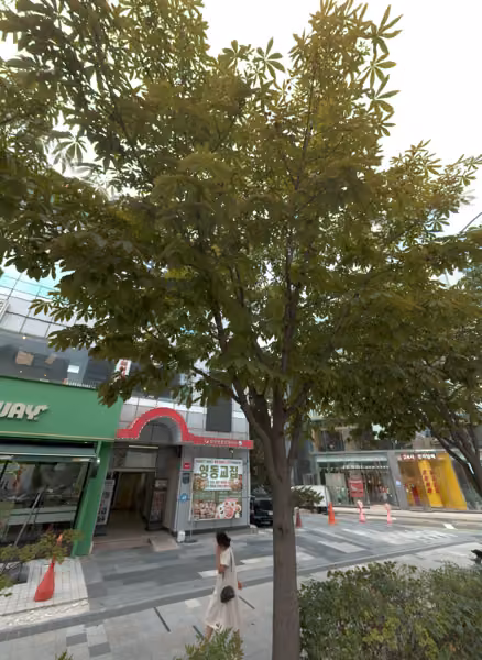tree photo
