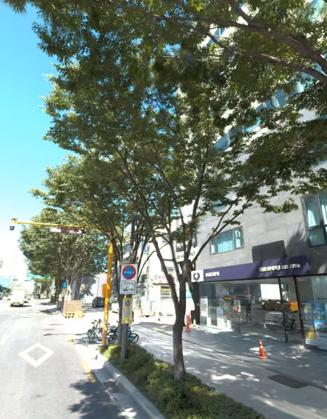tree photo