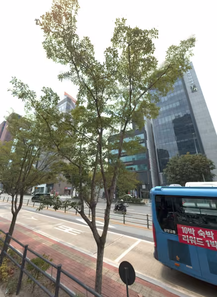 tree photo
