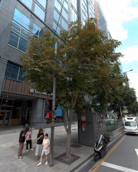 tree photo
