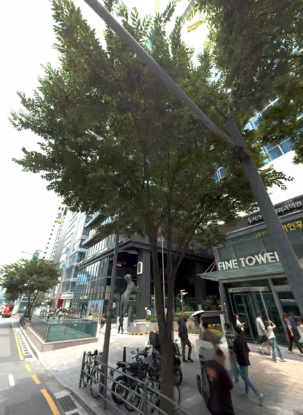 tree photo