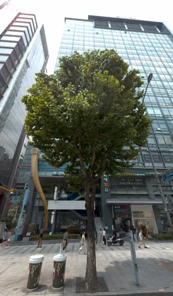 tree photo