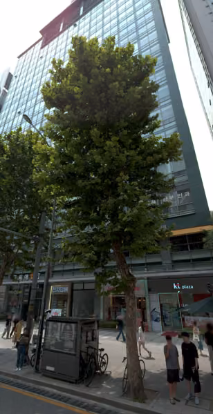 tree photo