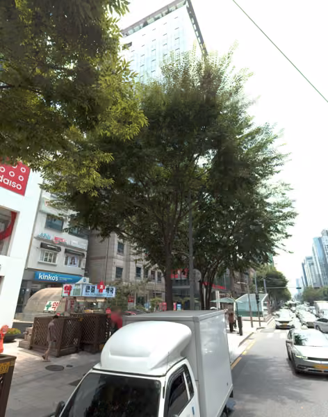 tree photo