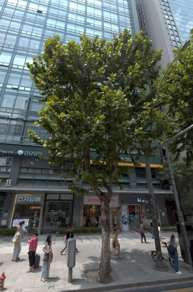 tree photo