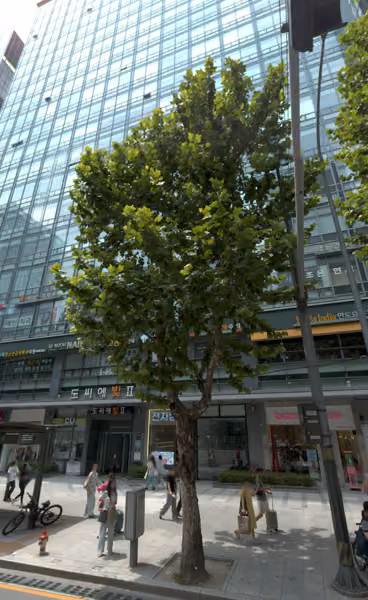 tree photo