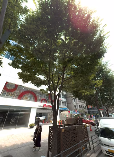 tree photo