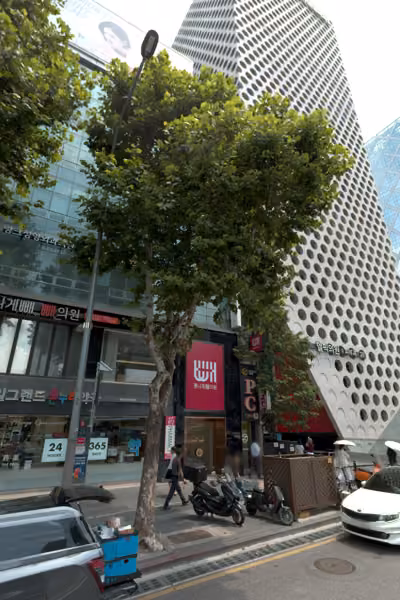 tree photo