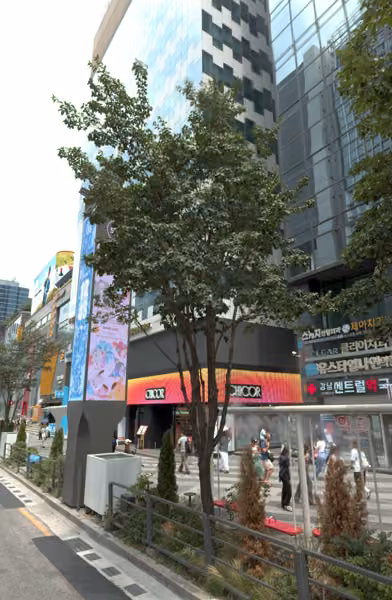 tree photo