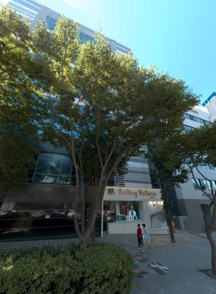 tree photo