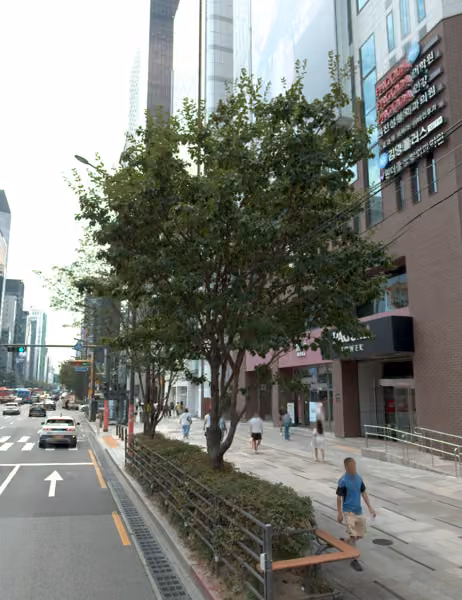tree photo