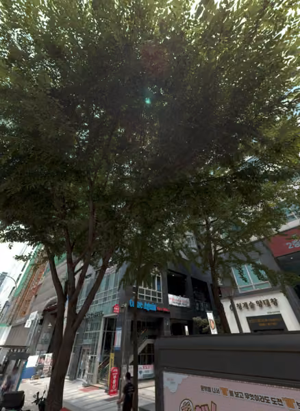 tree photo