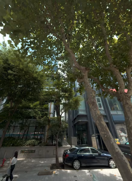 tree photo