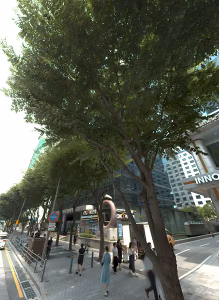 tree photo