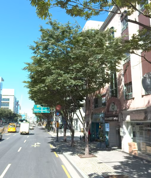 tree photo