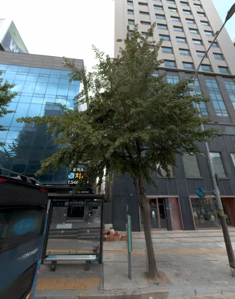 tree photo