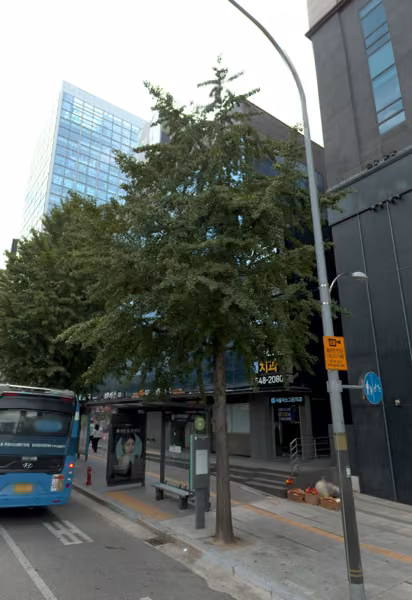 tree photo