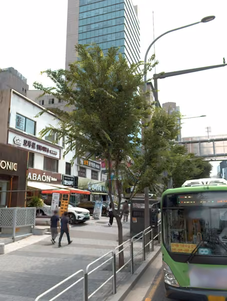 tree photo