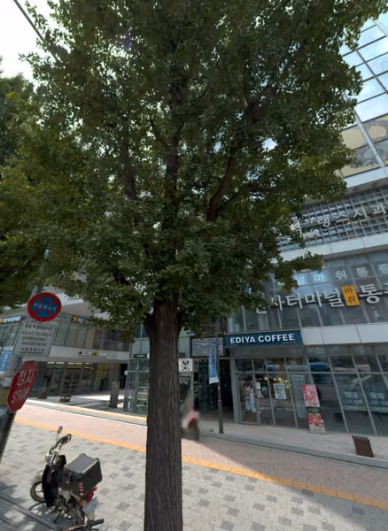 tree photo