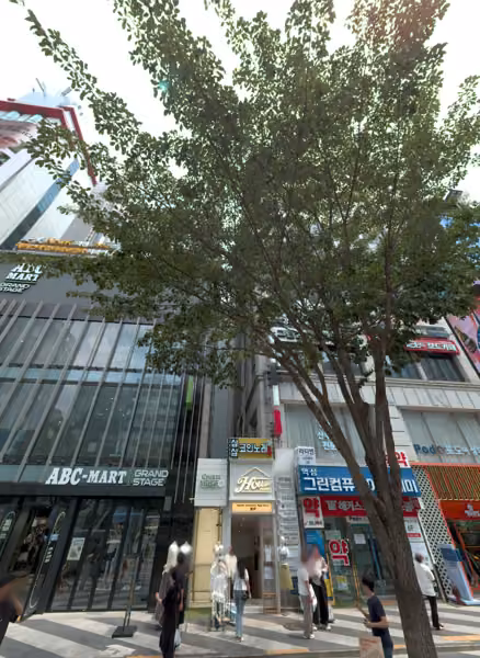 tree photo