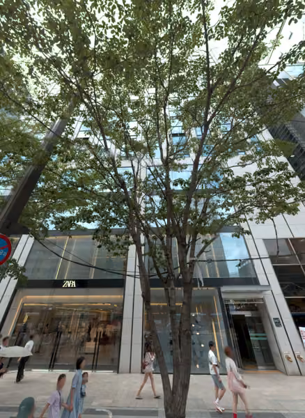 tree photo