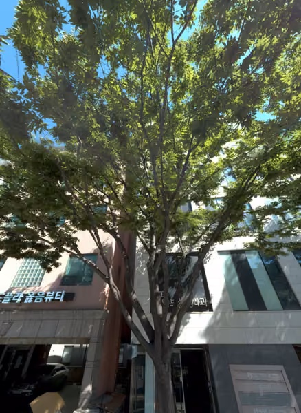 tree photo