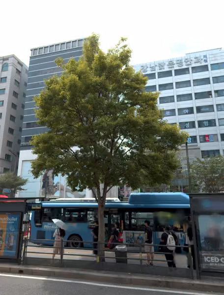 tree photo