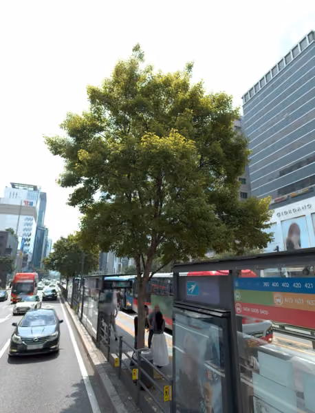 tree photo