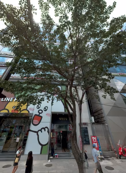 tree photo